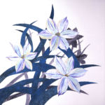 花にら