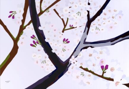 桜
