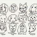 犬いっぱい