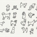 愛犬たち