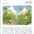 マチのケシキ 第13回 マチのケシキ 第13回 風景と景色の大切さ
